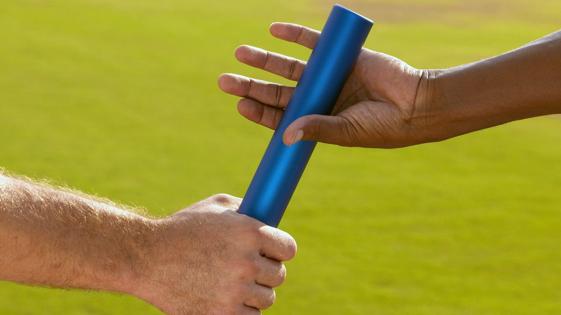 _飞盘运动嘉年华：趣味合作的极致体验_，飞盘运动比赛